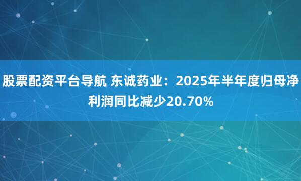 股票配资平台导航 东诚药业：2025年半年度归母净利润同比减少20.70%