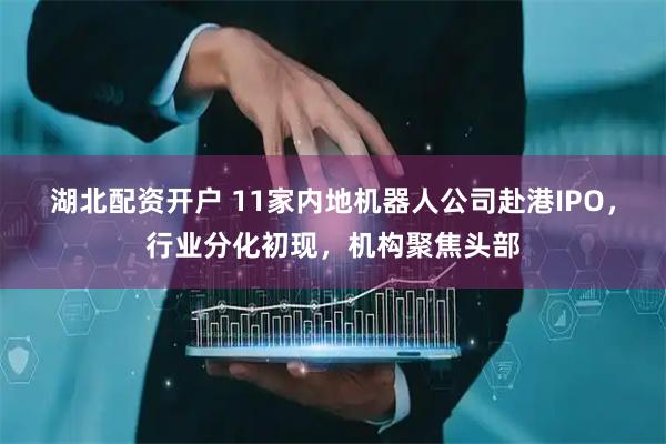 湖北配资开户 11家内地机器人公司赴港IPO，行业分化初现，机构聚焦头部